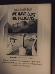 Just realised my Kindle is advertising the weirdest books. What’s Paul Mathews’ obsession with losing things? What is a NIGHTMARE CROUTON?! https://t.co/7sogf13LP0