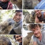 Tonight's @yow_conf highlight: I taught @abedra, @JoshuaKerievsky, @boicy, and @kytrinyx what a "quokka selfie" is. 😂 https://t.co/SKwOQuWQV8