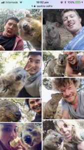 Tonight's @yow_conf highlight: I taught @abedra, @JoshuaKerievsky, @boicy, and @kytrinyx what a "quokka selfie" is. 😂 https://t.co/SKwOQuWQV8