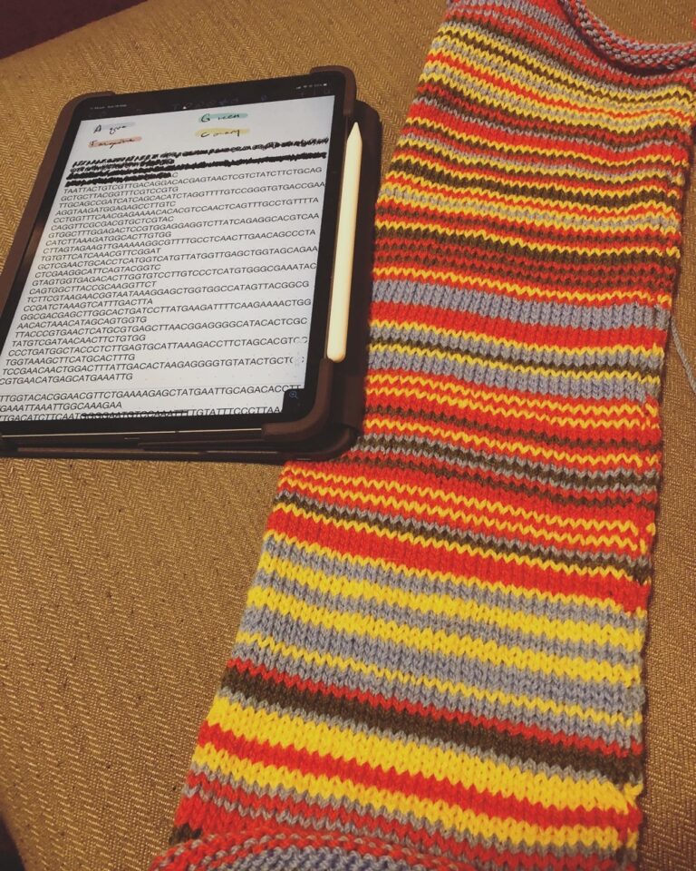 Yes, I really am knitting the SARS-CoV-2 genetic sequence into a scarf! 🦠+🧶=🧣 If you want to hear more, watch my talk for #devaroundthesun at 1:55pm Wednesday, Sydney time... devaroundthesun.org