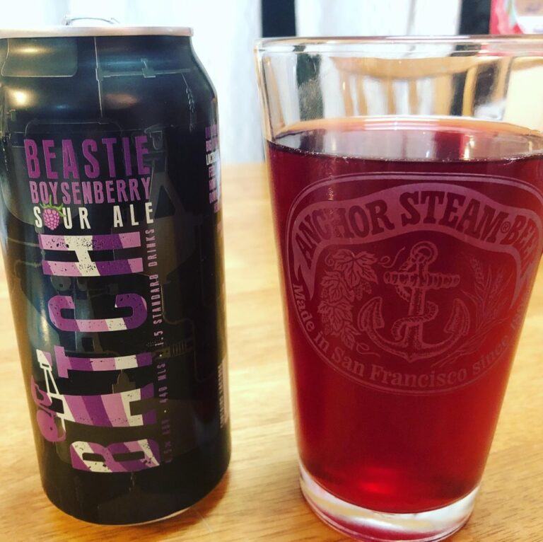 Beastie Boysenberry Sour Ale - pretty AND tasty!