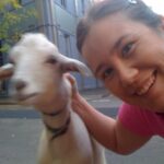 When I headed out for my run tonight, I finally met the not-quite-mythical Goat of Chippendale! His name is Maxy.