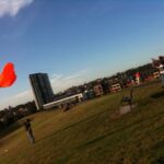 Flying kites in Sydney Park. http://bit.ly/1xBVFf