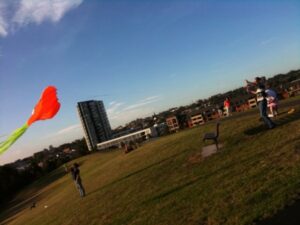 Flying kites in Sydney Park. http://bit.ly/1xBVFf