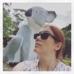 Communing with nature on Phillip Island. #bigkoala