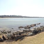 Panoramic shot from today at Scott's Head Beach.