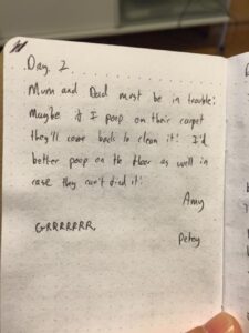 Best gift ever: the Googlers who were catsitting for us left a "diary" from the cats! Somewhat concerned about Day 2 though... (We cannot, in fact, find any signs of cat poop on the floor...)