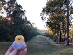 Morning walk around the golf course with Skippy and Gudetama. ☀️ @ Cypress Lakes Golf & Country Club