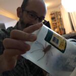What’s that Petey? What are you carrying on about? Oh. 🙀🕷