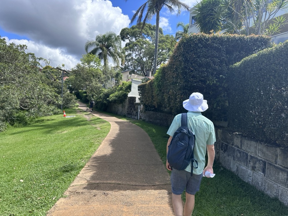 Path in Balgowlah