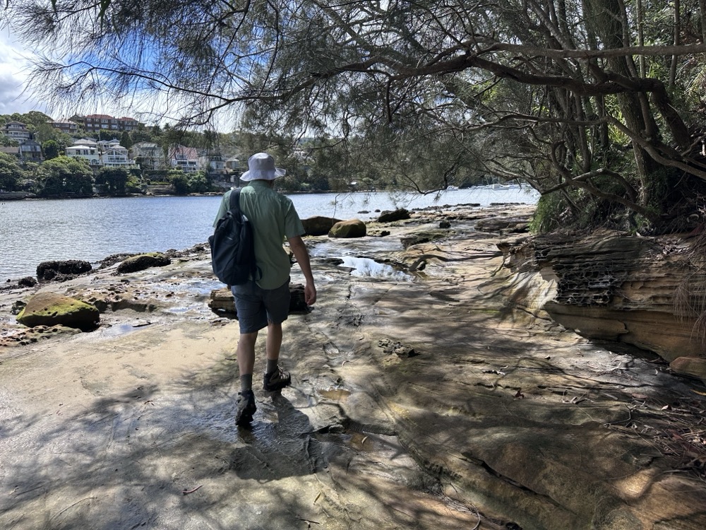 Rodd on the mudflats